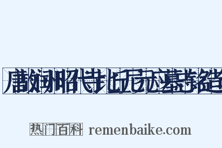 唐故润州昭代寺比丘尼元应墓志铭造句是什么意思的图片